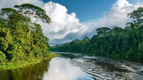 iquitos16