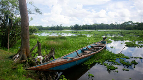iquitos6