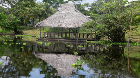 iquitos7