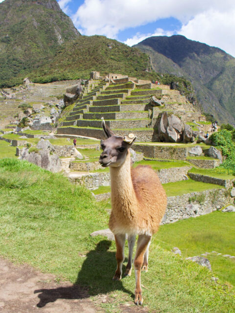 machpicchu2