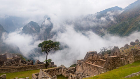 machpicchu6