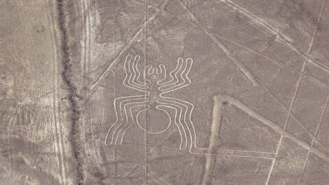nazca1