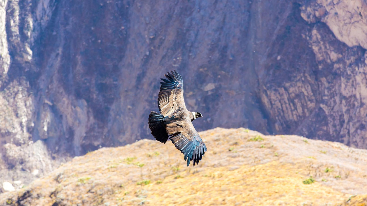 colca3
