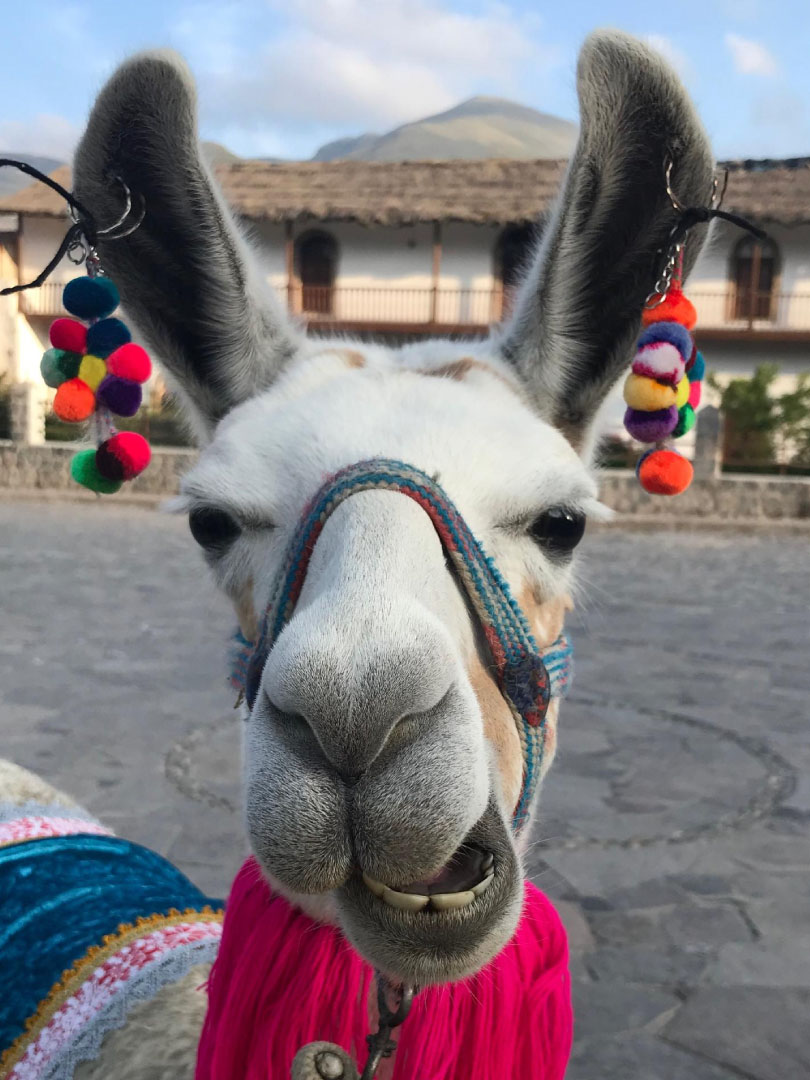 cusco1