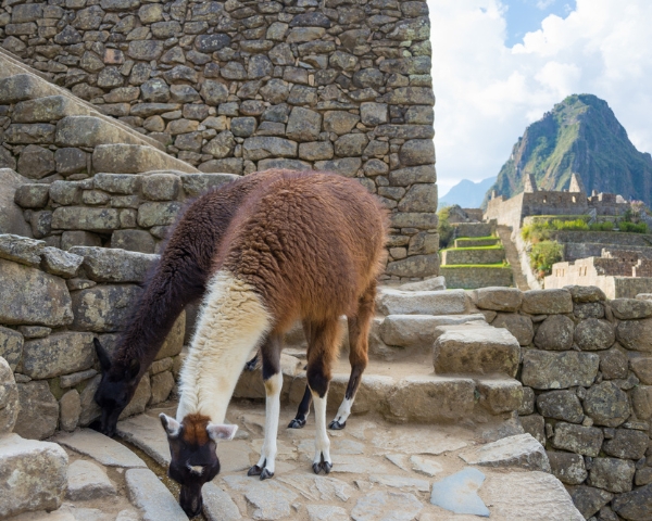 machupicchu