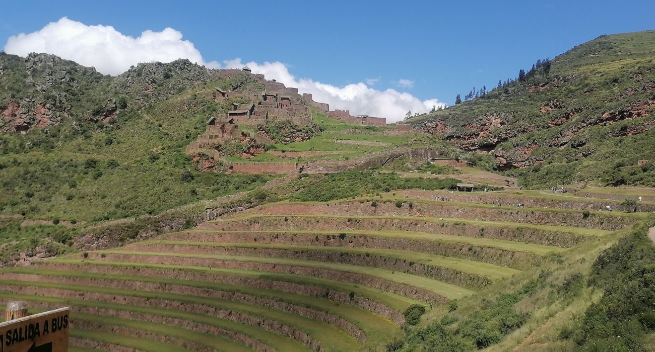 salidagrupal_11