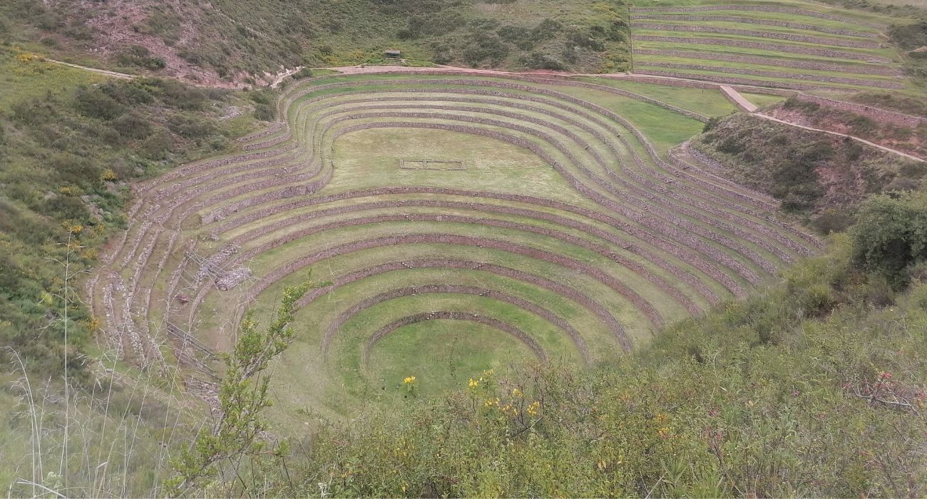 salidagrupal_13